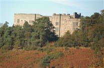 Click for large image